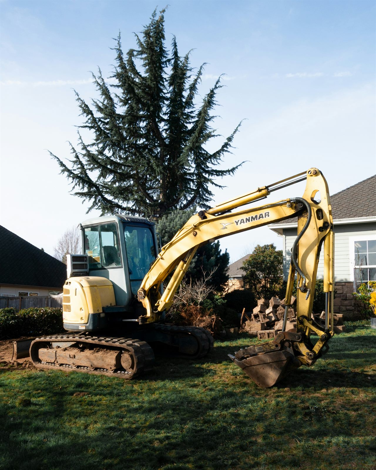A compact excavator on a residential property with a mature tree